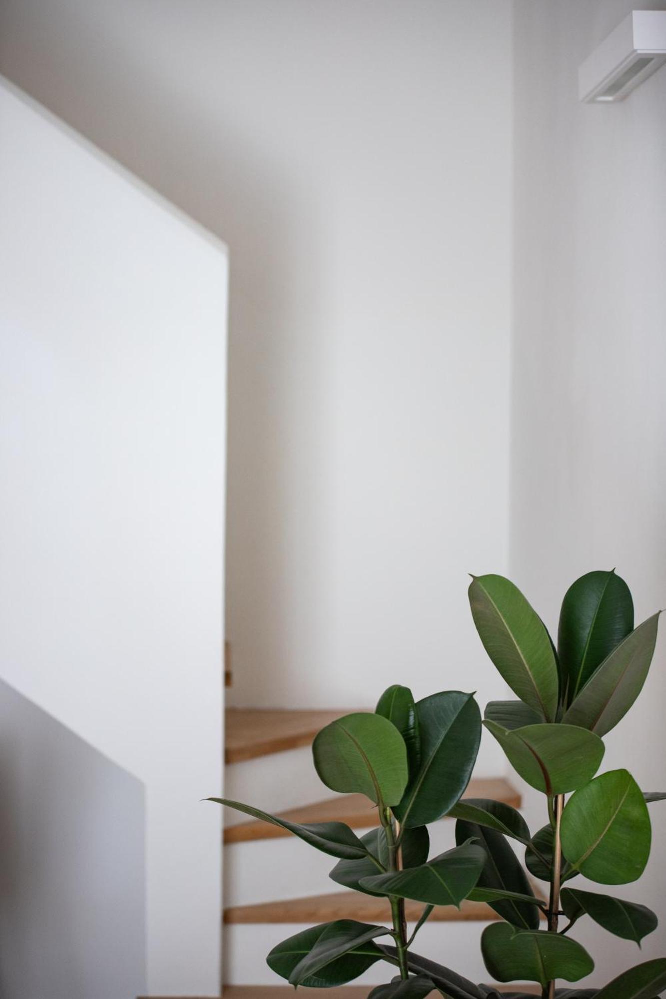 Santo Stefano Loft Aparthotel Μπολόνια Εξωτερικό φωτογραφία